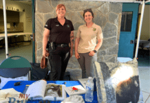 Bear Presentation Led by CDFW Biologist Sheds Light on Burbank’s Black Bear Situation