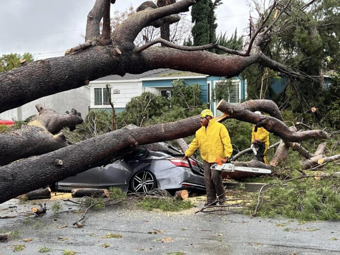 330357500_738219794685535_30454464215748483_n