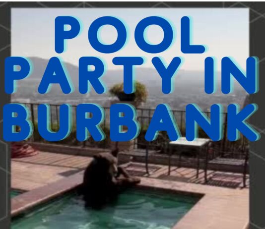 Burbank Police Release Video of a Bear Taking a Dip in a Resident’s Pool