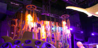 OC Discovery Cube Sea Lab and Ocean Encounter Exhibit Now Open