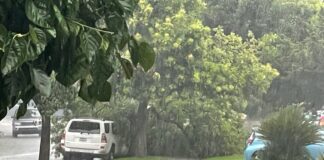 Burbank Brushes Tropical Storm Hillary, Ojai Earthquake Off