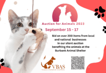 VBAS to Hold Annual Auction to Support Shelter Animals