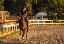 Burbank’s Madliene Haim Completes Mongol Derby, “The Longest And Toughest Horse Race In The World”