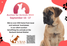 2023 Auction For Animals Offers A Variety Of Holiday Shopping To Benefit The Burbank Animal Shelter