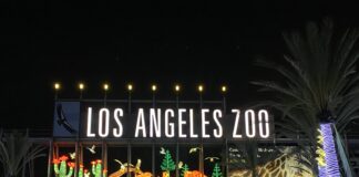 Get Out Of Town!: LA Zoo Lights LA Zoo Lights