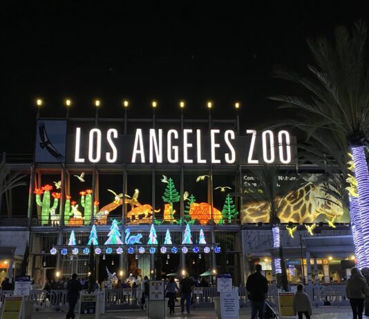 Get Out Of Town!: LA Zoo Lights LA Zoo Lights