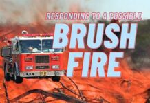 Firefighters Quickly Knock Down Brush Fire in Burbank Hills