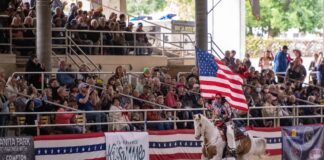 PHOTO GALLERY: Rose Parade Equestfest Held At The Los Angeles Equestrian Center Put Equestrian Units On display