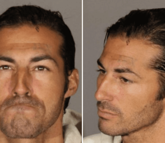 Dion Makes First Court Appearance After Hate Crimes Arrest