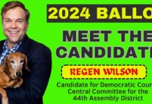 Regen Wilson Announces Plan To Address Homeless Crisis