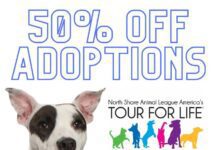 50% Off Adoption Fees at the Burbank Animal Shelter