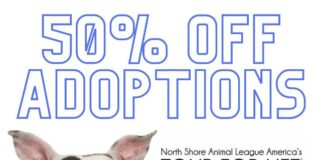 50% Off Adoption Fees at the Burbank Animal Shelter