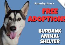 Free Adoptions at Burbank Animal Shelter for Adopt-a-Pet Day June 1