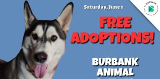 Free Adoptions at Burbank Animal Shelter for Adopt-a-Pet Day June 1