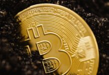 Educational Initiatives: How Burbank is Getting the Next Generation Ready for Blockchain and Web3