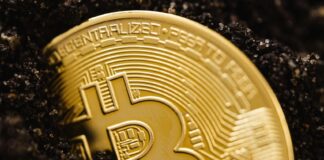 Educational Initiatives: How Burbank is Getting the Next Generation Ready for Blockchain and Web3