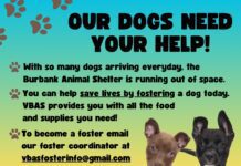 The Burbank Animal Shelter is Out of Kennel Space For Their Dogs.