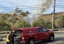 Police Arrest Transient for Aledging Setting Burbank Hillside on Fire