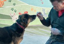 Adoptable Pet of the Week: Lucky