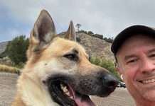 Adoptable Pet of the Week: Lisbeth