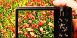 Burbank Group Launches Virtual Scavenger Hunt with Cash Prizes