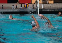 Boys Water Polo Preview: Bulldogs, Bears Are Strong, Talented, Focused