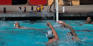 Boys Water Polo Preview: Bulldogs, Bears Are Strong, Talented, Focused