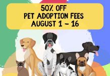 50% Off Adoption Fees at the Burbank Animal Shelter