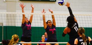 Providence Girls Volleyball Swept in CIF Quartefinals