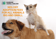 50% Off All Adoptions at Burbank Animal Shelter