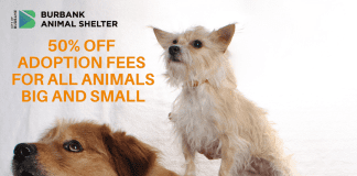 50% Off All Adoptions at Burbank Animal Shelter