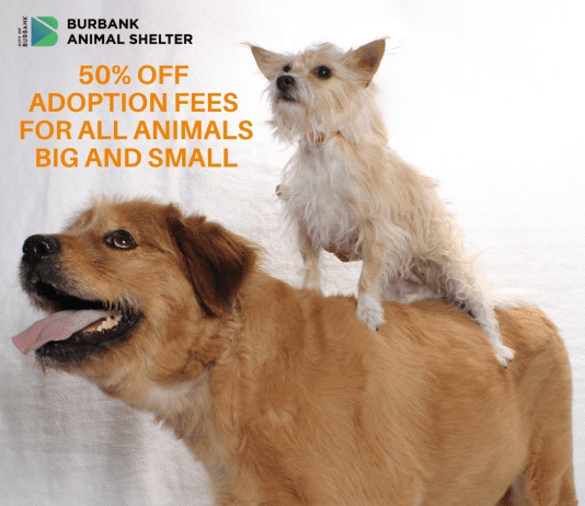 50% Off All Adoptions at Burbank Animal Shelter