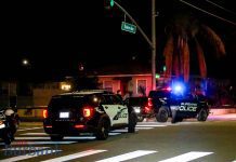 Burbank Police K-9 ‘Spike’ Dies from Gun Shot Wounds During Traffic Stop (Video)