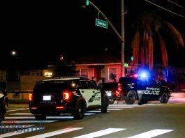 Burbank Police K-9 ‘Spike’ Dies from Gun Shot Wounds During Traffic Stop (Video)