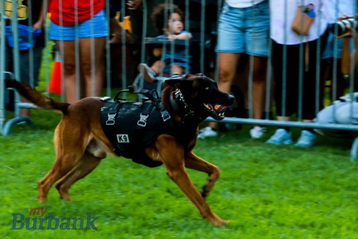 BPD Shooting Incident invol K9-3