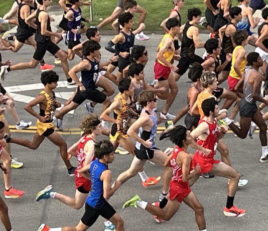 Burroughs Cross Country Concludes Season in CIF Finals