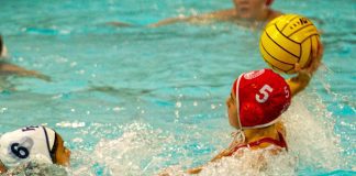 Girls Water Polo Preview: Burroughs, Burbank On Right Track