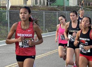 Season Preview: Cross Country Teams Ready to Kick Season Off