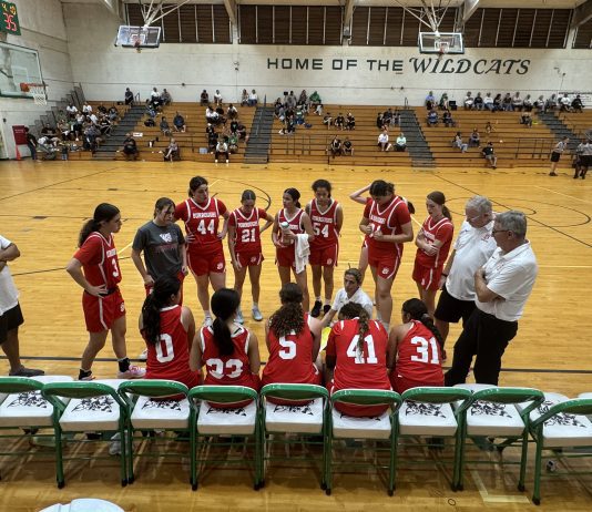 Girls Basketball Preview: Burroughs, Burbank, Providence Seeking Success