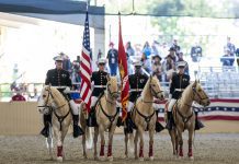 Equestfest Shows Off Equestrian Units Planned In This Years 137th Rose Parade