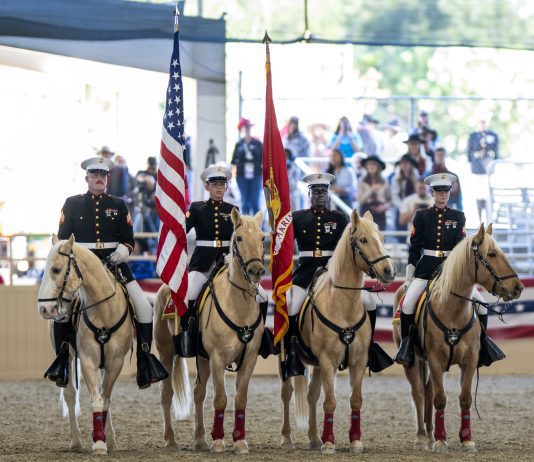 Equestfest Shows Off Equestrian Units Planned In This Years 137th Rose Parade