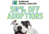 50% Off Adoptions at the Burbank Animal Shelter