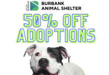 50% Off Adoptions at the Burbank Animal Shelter