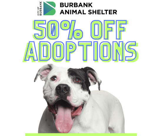 50% Off Adoptions at the Burbank Animal Shelter