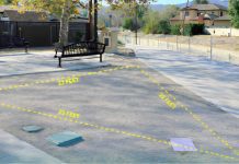 City of Burbank Announces Call for Artists for Compass Tree Park Public Art Project