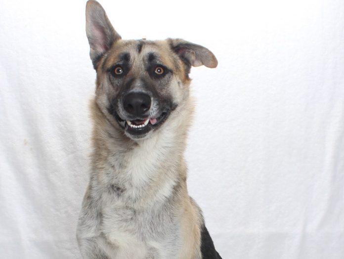 A139559 Skip Mn GSD 3Y Avail Soon (2)
