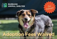 Burbank Animal Shelter to Offer Fee-Waived Adoptions on June 6
