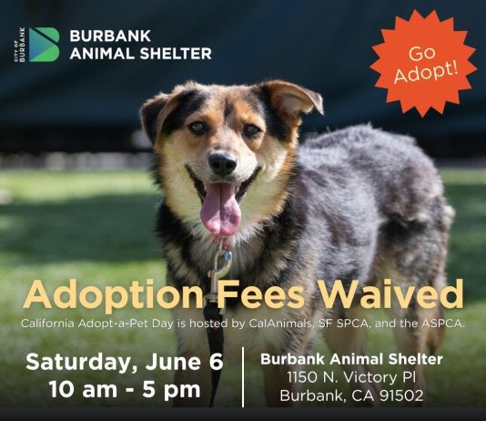 Burbank Animal Shelter to Offer Fee-Waived Adoptions on June 6