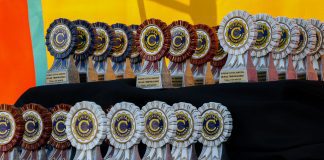 Burbank Parks and Recreation Holds 70th Civitan Jamboree