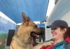 Adoptable Pet of the Week: Zane
